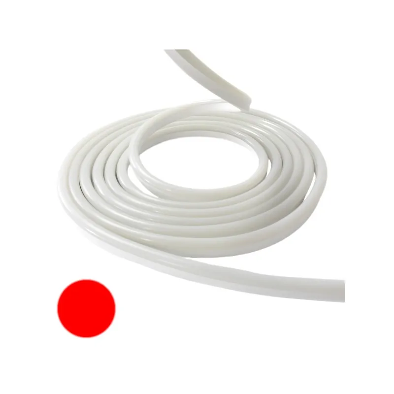 Néon flexible LED SF 12V