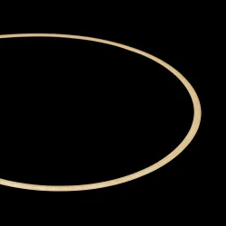 Néon flexible LED 24V 4mm 0,5 mètres