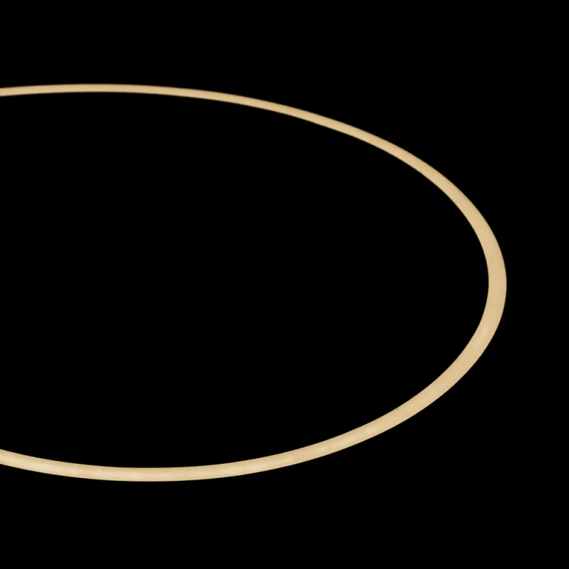 Néon flexible LED 24V 4mm 0,5 mètres