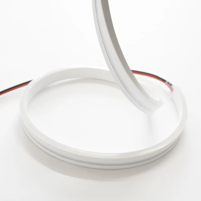 Néon flexible LED 24V 4mm 0,5 mètres