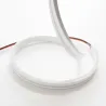 Néon flexible LED 24V 4mm 0,5 mètres