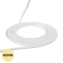 Néon flexible LED plat 24V 6x6mm 5 mètres - Blanc naturel 4000K