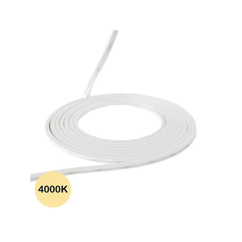 Néon flexible LED plat 24V 6x6mm 5 mètres