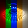 Ruban LED 24V 5050 RGB + blanc variable 5/10M