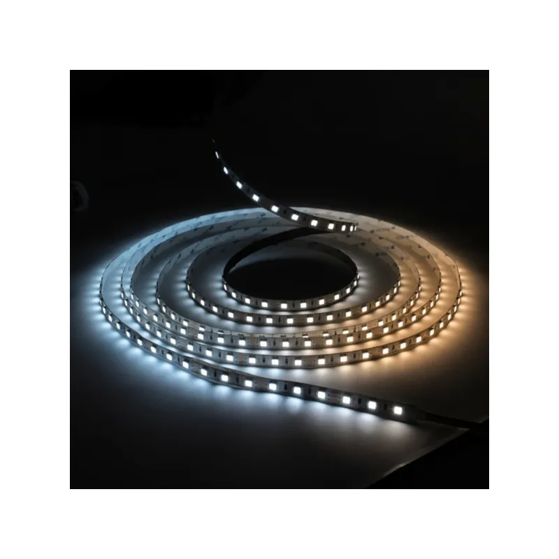 Ruban LED 24V blanc variable chaud-froid 5/10M