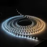 Ruban LED 12V blanc variable chaud-froid