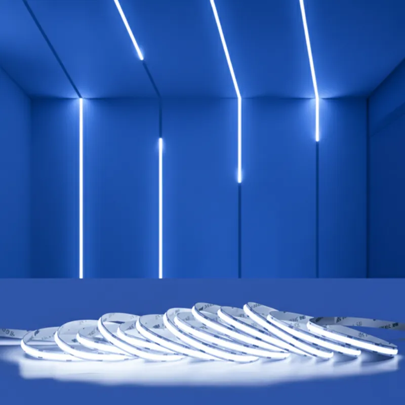 Ruban LED 24V COB Mono Digital 5/10M