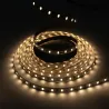 Ruban LED 24V 5050 60 led/m 10M
