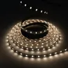 Ruban LED 24V 5050 60 led/m 10M