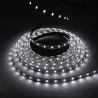 Ruban LED 24V 5050 60 led/m 10M