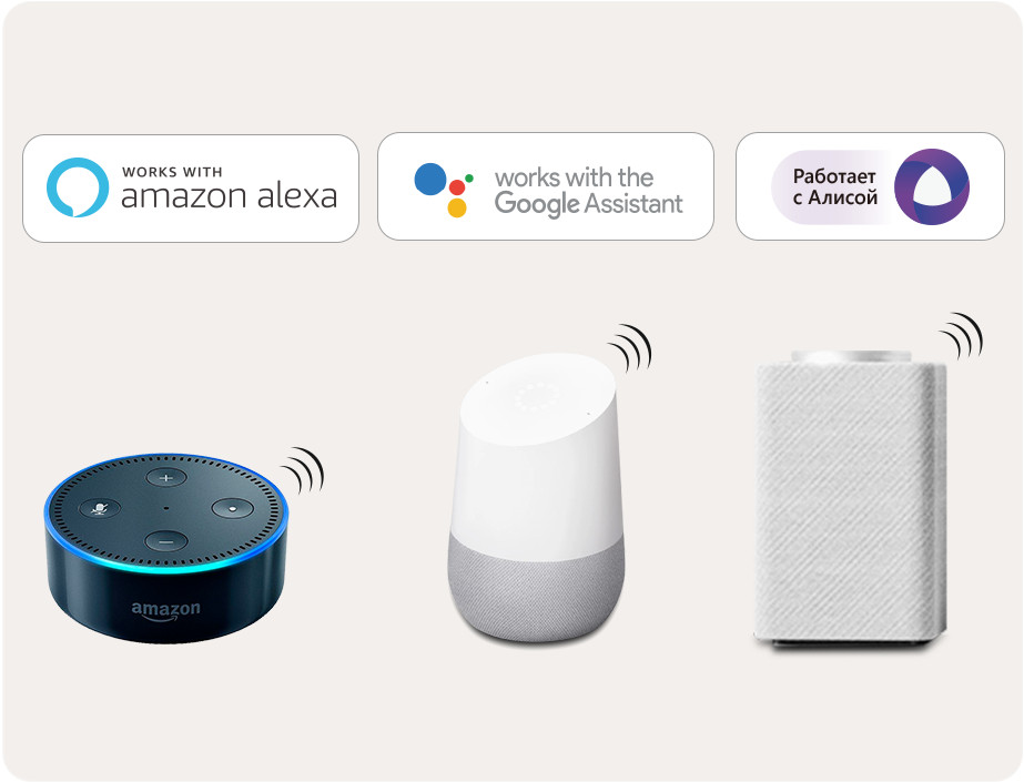 alexa google assistant