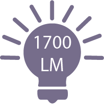 1700 lumens/m