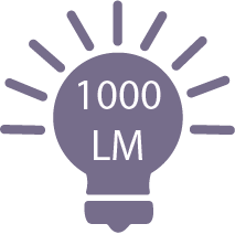 1000 lumens/m