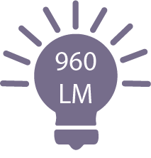 960 lumens/m