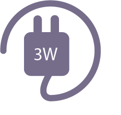 3W
