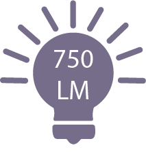 750 lumens