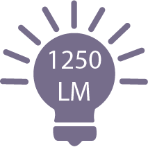 1250 lumens
